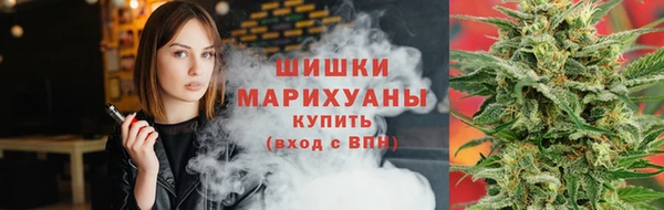 крисы Медногорск