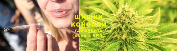 крисы Медногорск