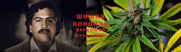крисы Медногорск