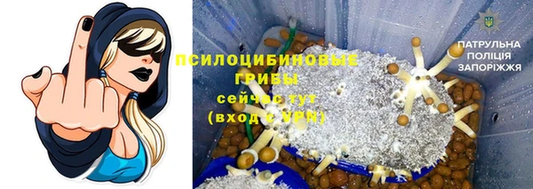 крисы Медногорск