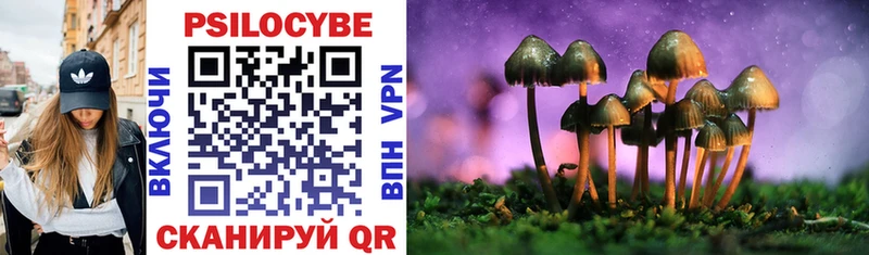 Галлюциногенные грибы MAGIC MUSHROOMS  цена наркотик  Южно-Сухокумск 